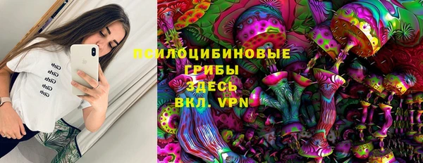марки nbome Белокуриха